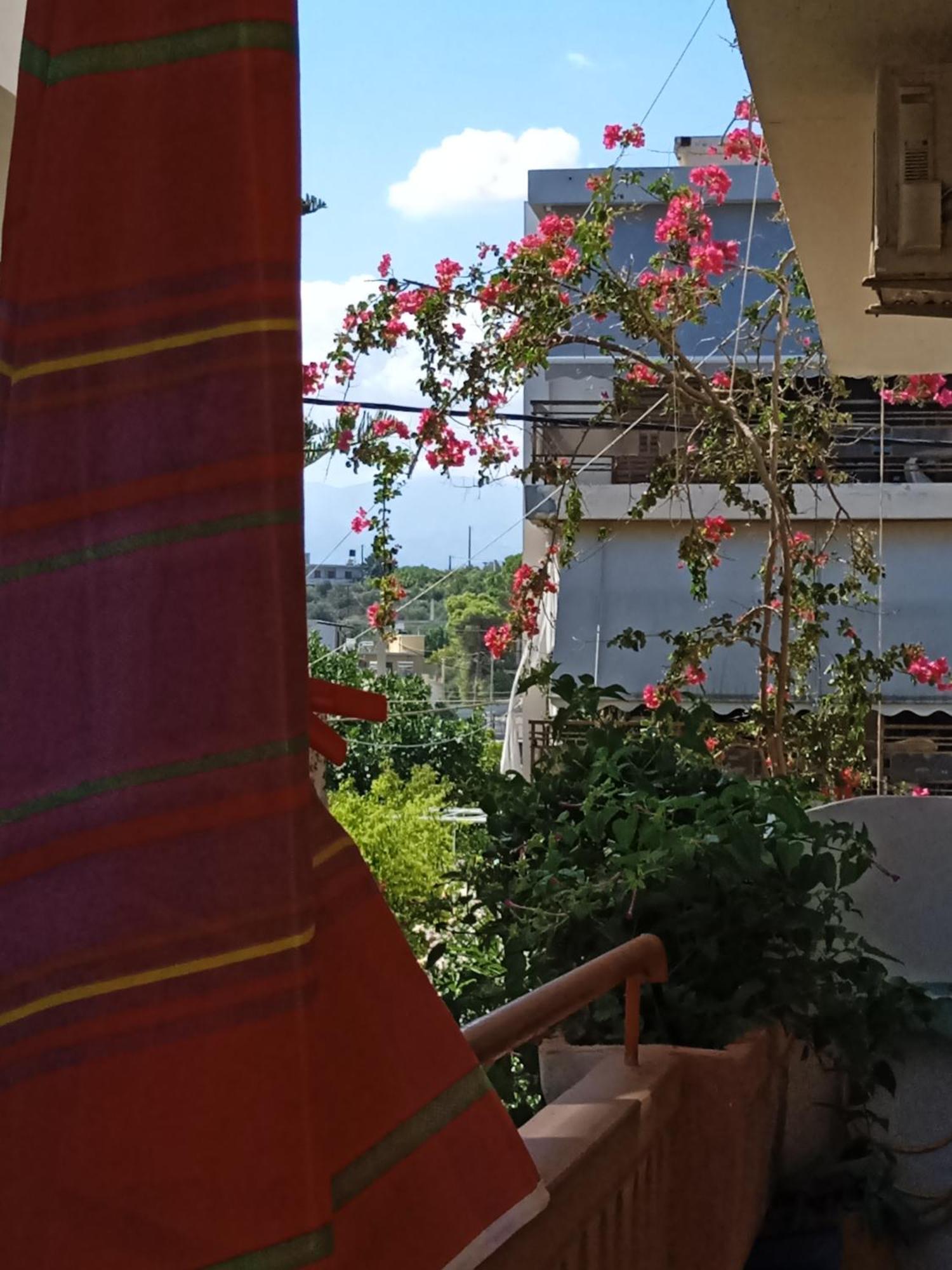 Ilona Apartments Chania Kato Daratso Camera foto
