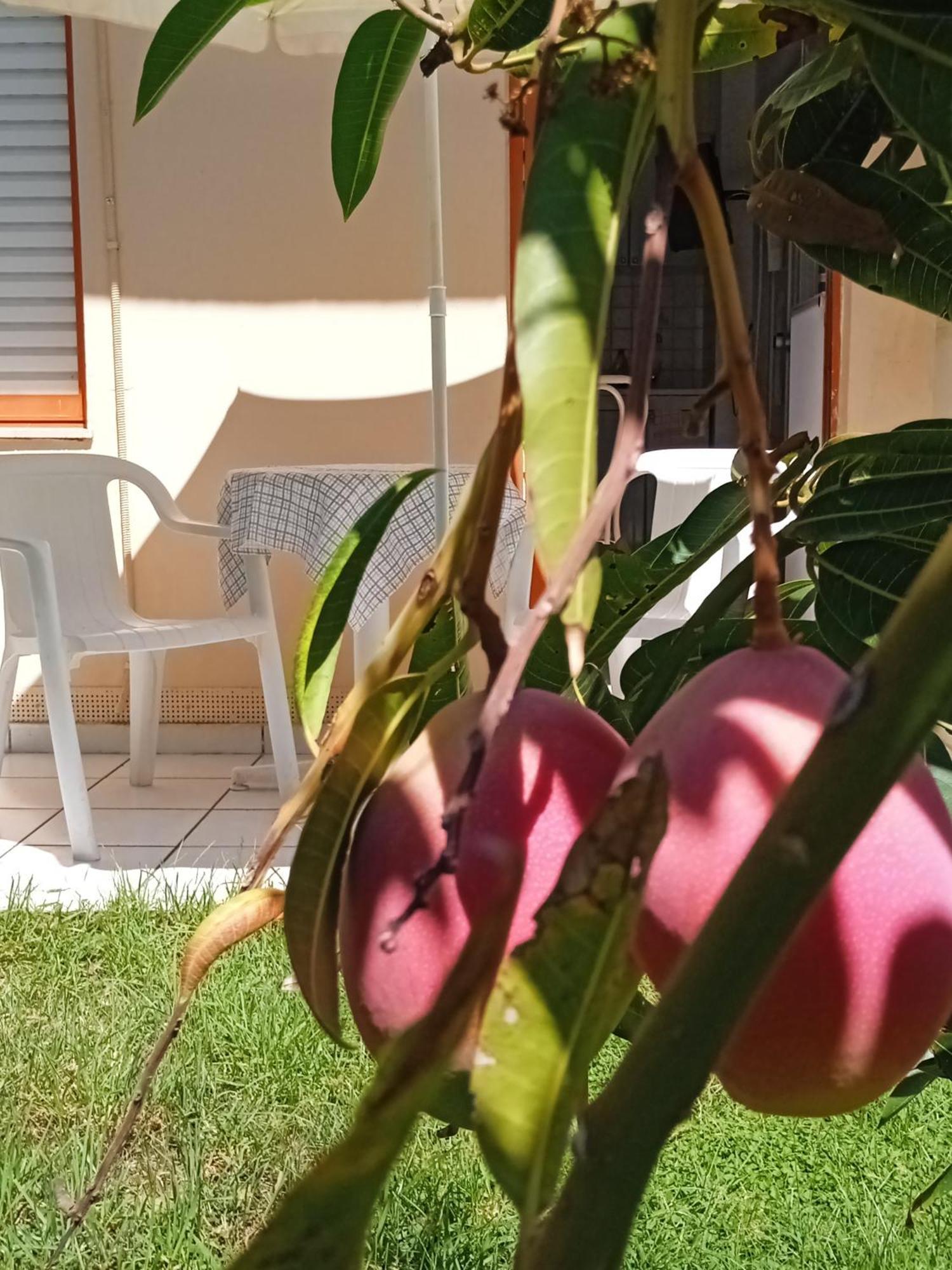 Ilona Apartments Chania Kato Daratso Camera foto